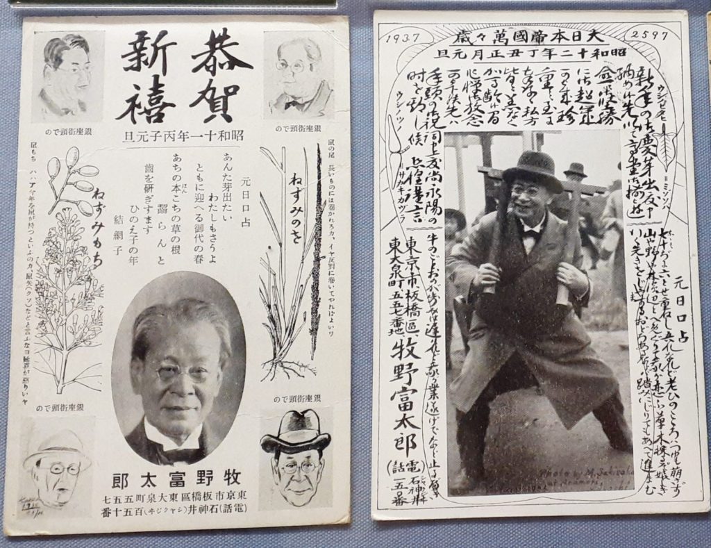竹下に宛てた昭和11年（左）と昭和12年（右）の年賀はがき。左はねずみ年にちなんだ植物のイラスト、右は小さな鳥居を背負った自らの写真を入れている