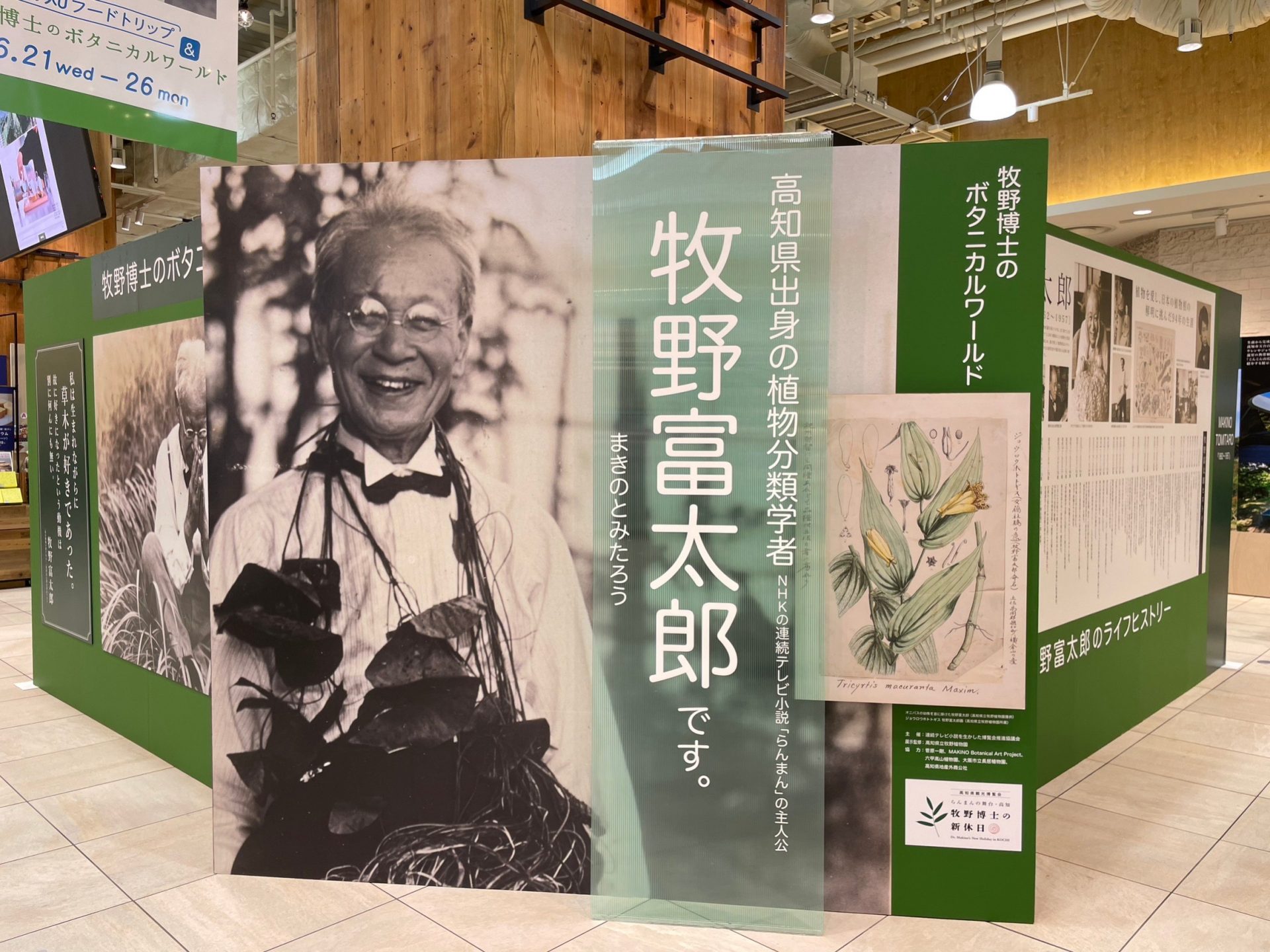 S__197402641.jpg