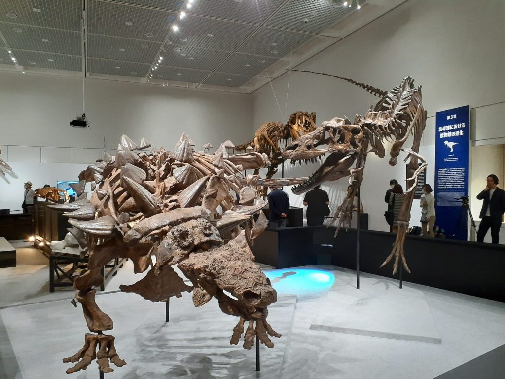 ズール(左)とゴルゴサウルス(右)の対峙シーンを再現した全身復元骨格
