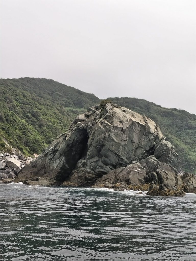 全体が青く、沼島で最も大きな岩「青磯」（提供：沼島おのころクルーズ）