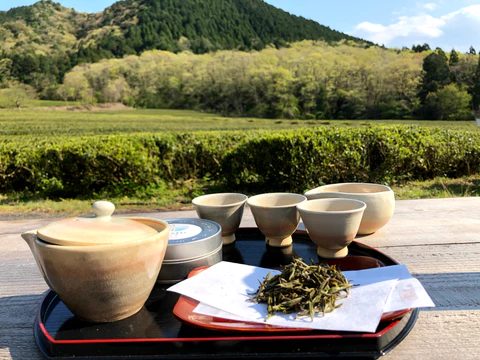 茶園カフェでは、自分でお茶を淹れて楽しむことができる