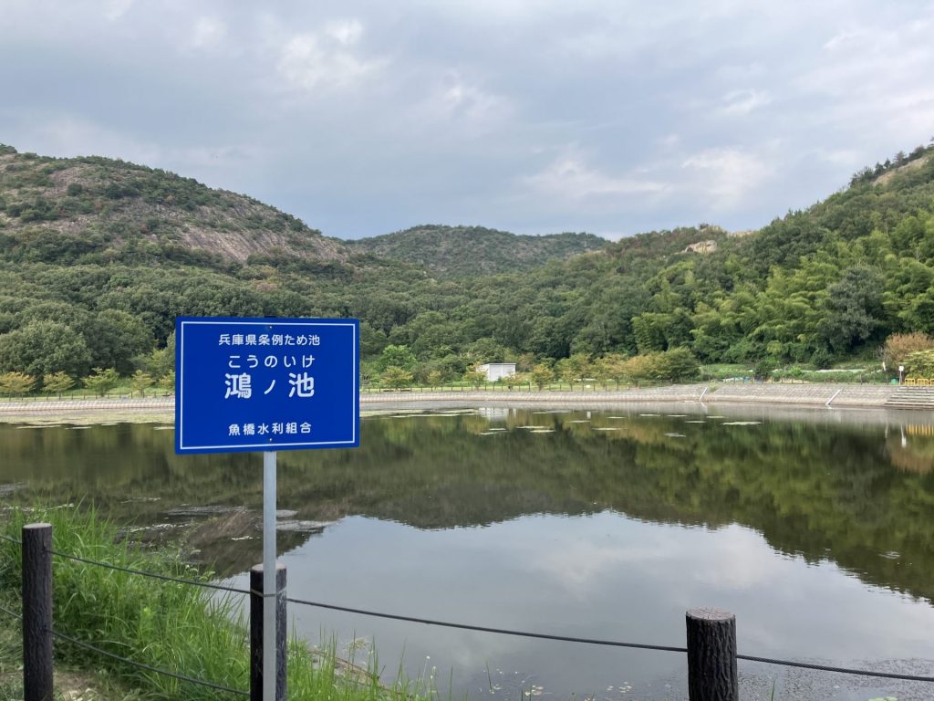 鴻ノ池（兵庫県高砂市阿弥陀町魚橋）