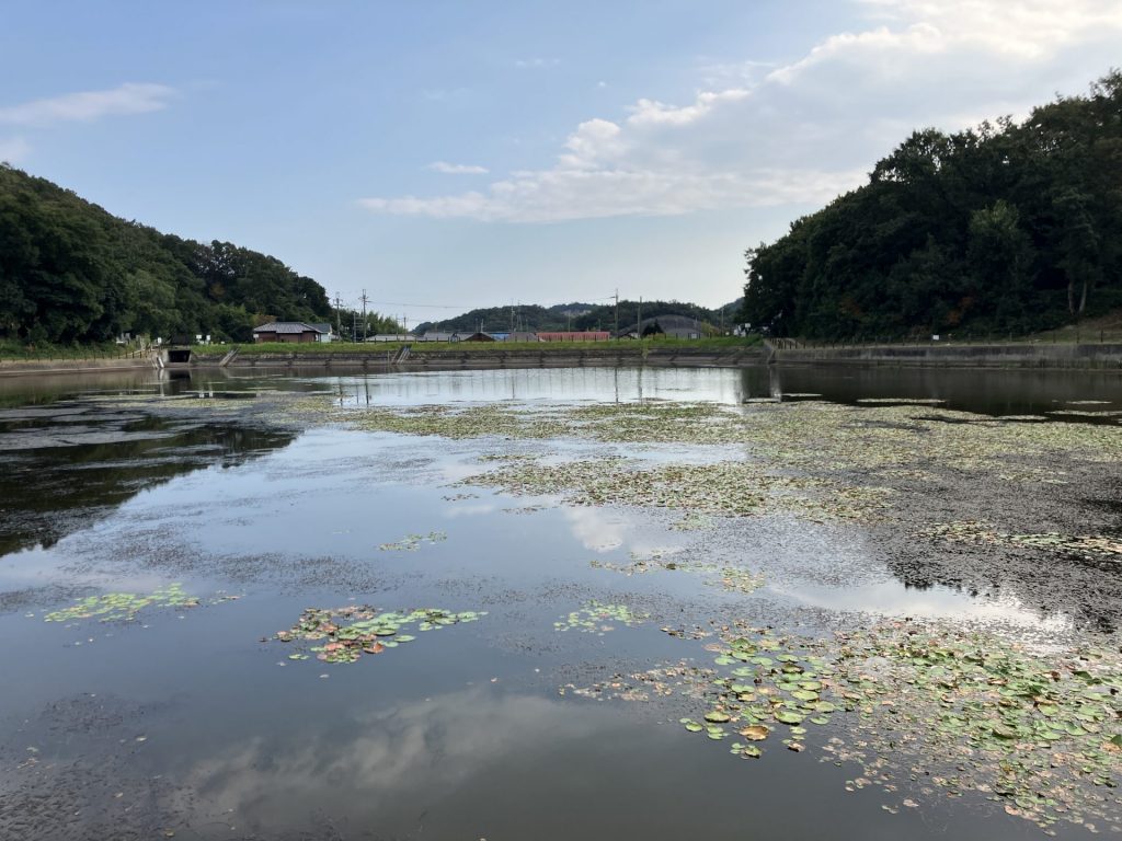 高砂市阿弥陀町魚橋のため池