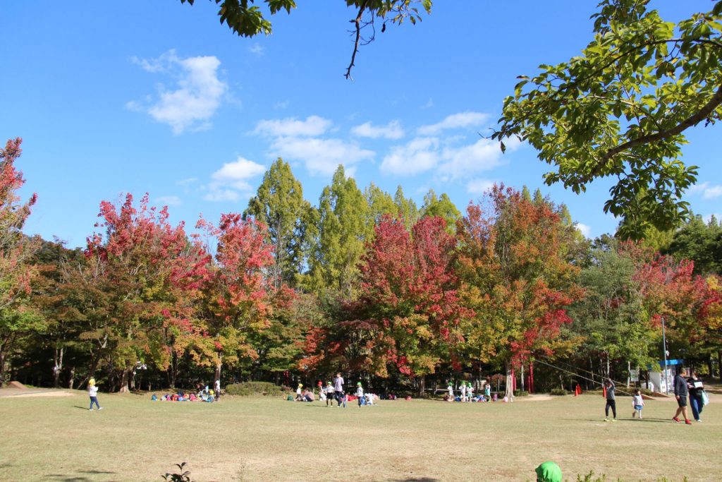 余暇村公園の紅葉（画像提供：多可町）