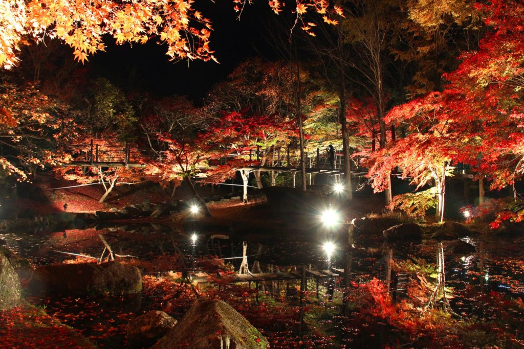 ライトアップされた余暇村公園の紅葉（画像提供：多可町）