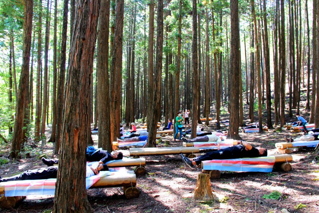 木のベッドに横になって森林浴を楽しめるコースも（画像提供：多可町）