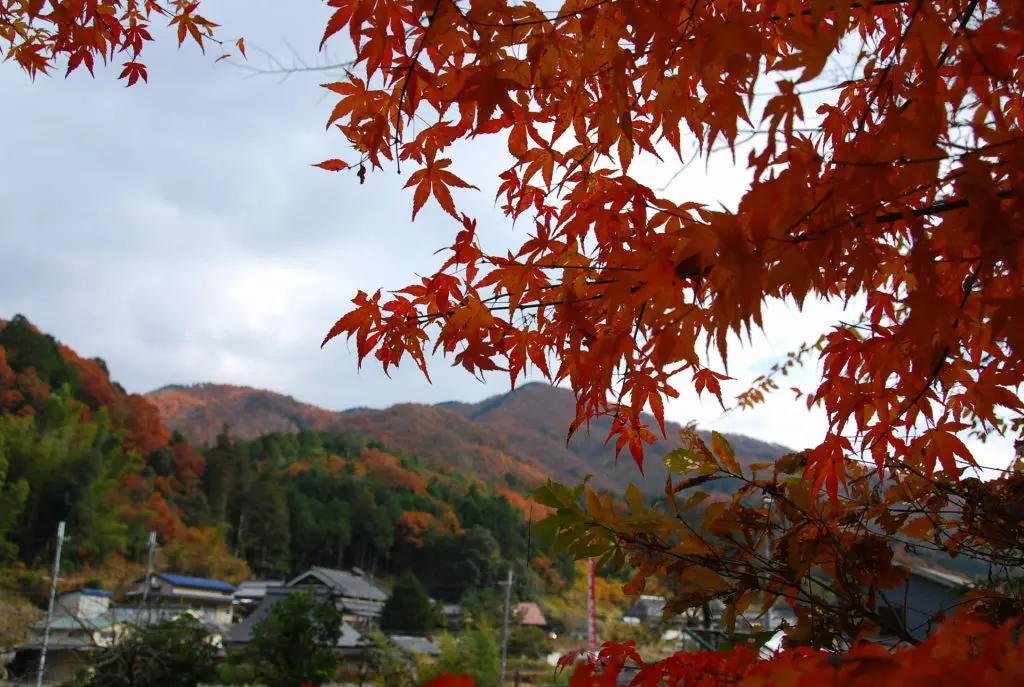 日本一の里山と呼ばれる川西市黒川地区 (画像提供:川西市)