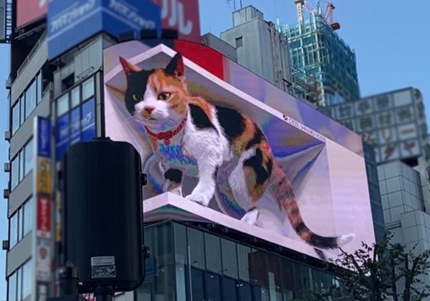 地震速報を即座に表示 新宿には“飛び出す猫” 『デジタルサイネージ』の