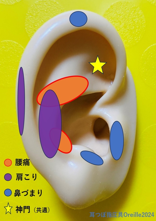 耳つぼの位置