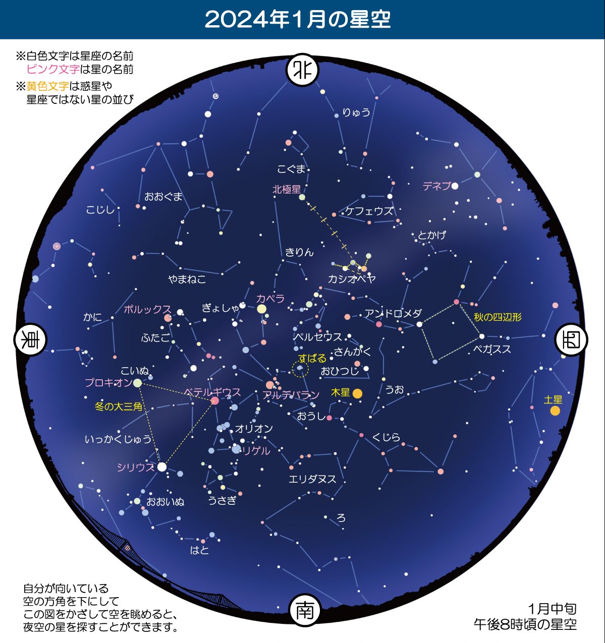 冬は豪華な星空に オリオン座と惑星の競演 2024年1月の星空散歩