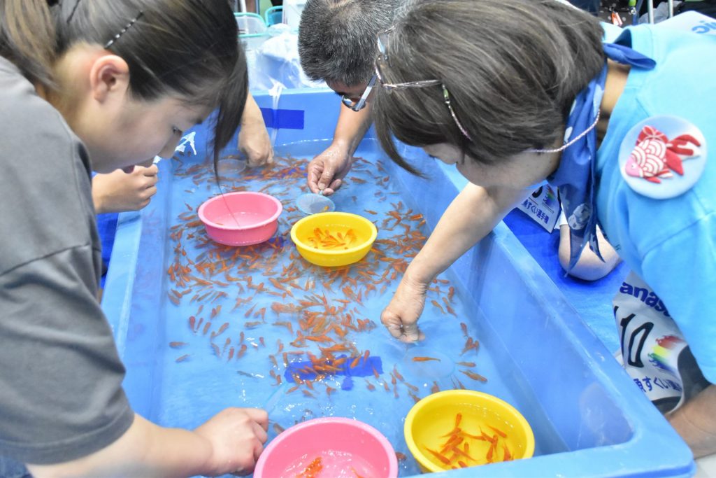 「全国金魚すくい選手権大会」では、ひとり1枚のポイで、３分間で何匹の金魚をすくえるかで競われる。個人戦（一般・小中学生の部）と3人1組の団体戦が行われる（画像提供：大和郡山市）