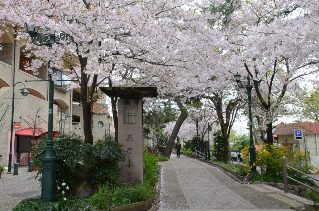 宝塚駅から宝塚大劇場へつながる「花のみち」（画像提供：宝塚市）