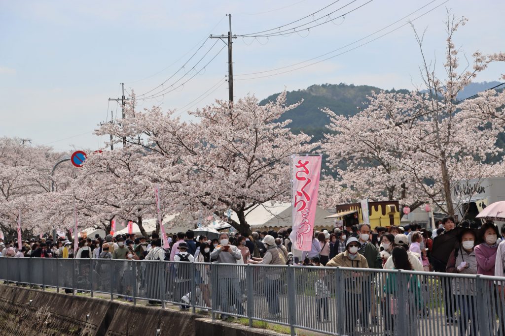 過去のいながわ桜まつりの様子（画像提供：猪名川町）