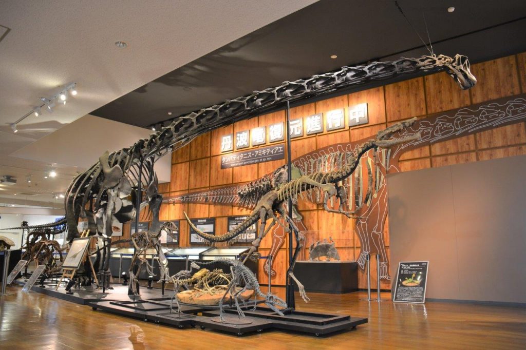丹波竜化石工房　ちーたんの館にある「丹波竜の実物大全身骨格模型」（提供：丹波市）