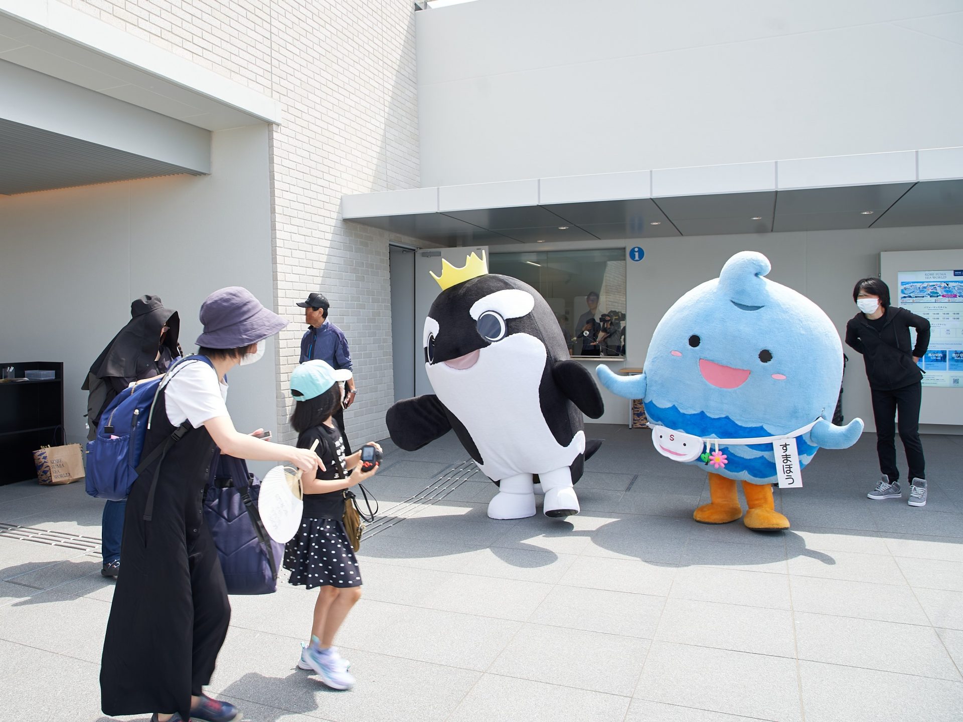 つぶらな瞳のシャチ、公式キャラ「オルシー」デビュー 神戸須磨シー