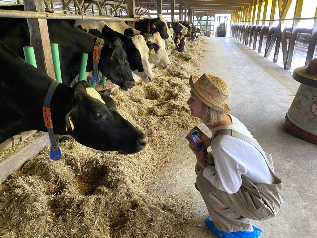 村上牧場の牛たち　写真右はラジオ関西パーソナリティのウラリエ