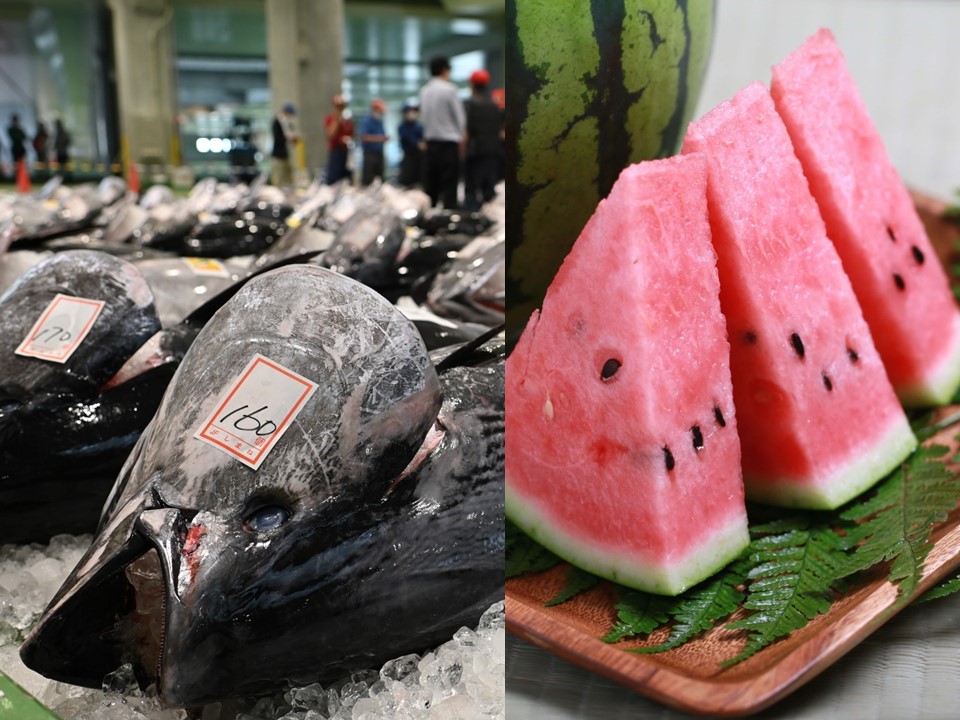 実は知らない人も多い？ 初夏の鳥取は「マグロ」「すいか」が旬 地元の