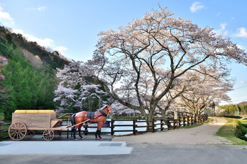 神河町内にある唯一現存する銀の馬車道跡（画像提供：神河町）