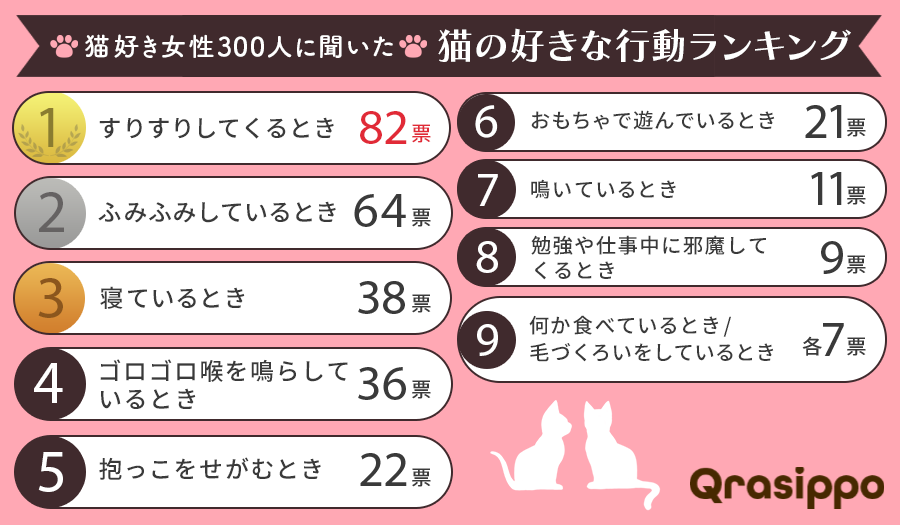 猫の好きな行動ランキング