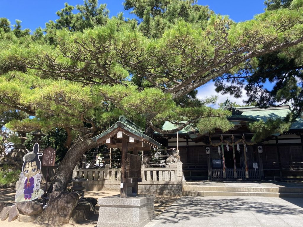 光源氏月見の松（提供：提供：岩屋神社）