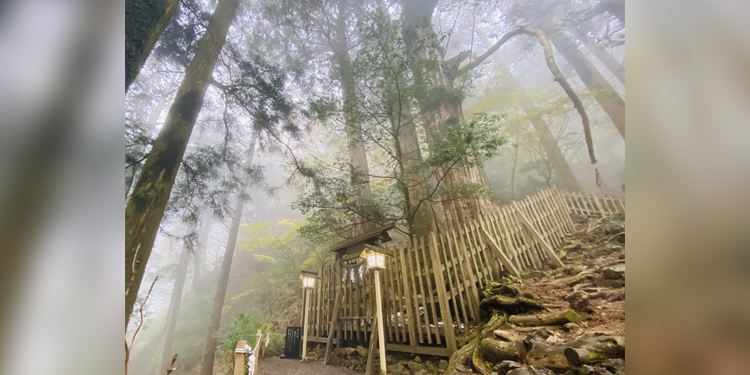 【『バズろぅ！』】“神様に呼ばれた人”しかたどり着けない『玉置神社』　いざ参拝へ