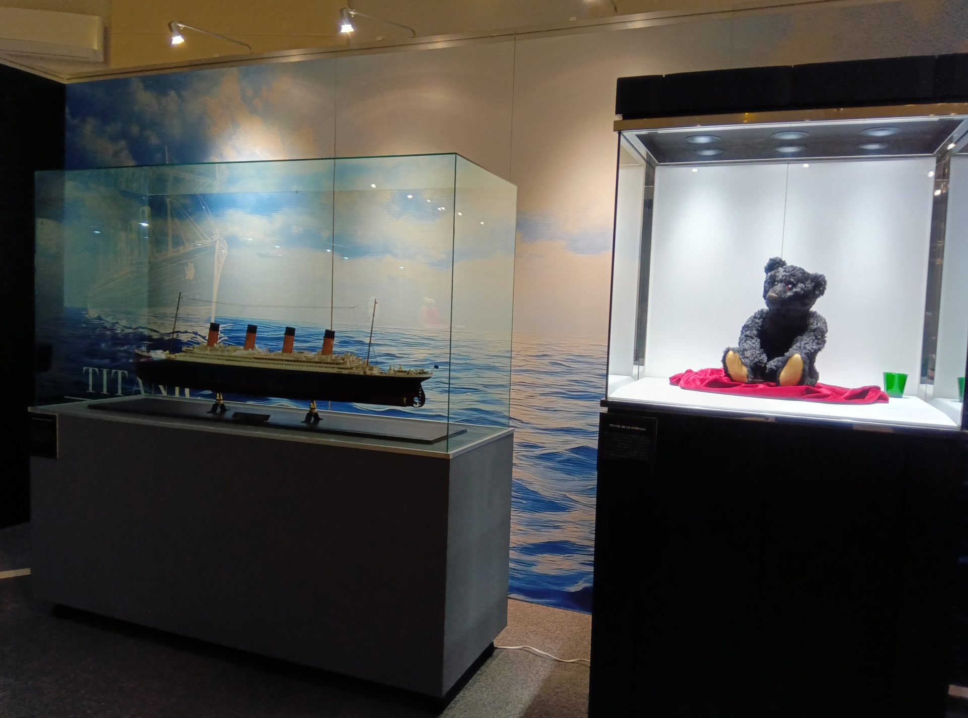 西日本初】タイタニック号ゆかりのテディベア公開 神戸海洋博物館の
