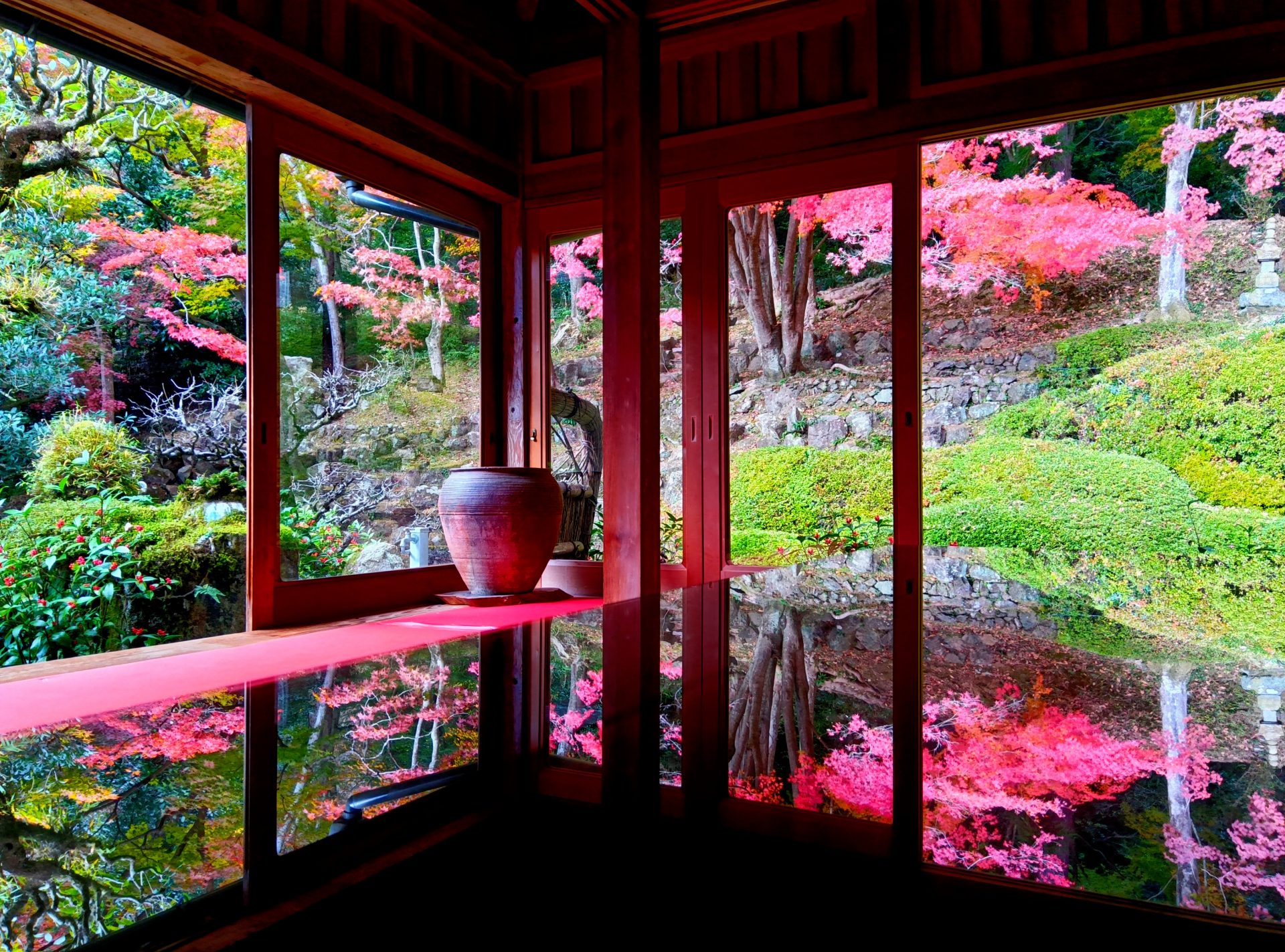 山里の古刹、紅葉のグラデーション 錦を広げた「床もみじ」鮮やか