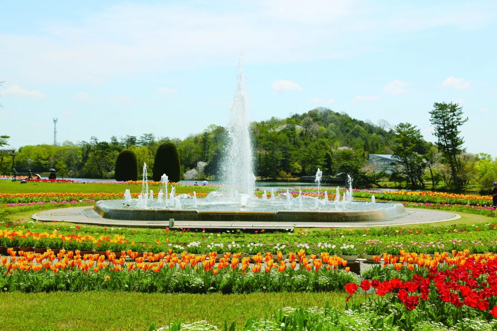 加西市にある兵庫県立フラワーセンター　4500種類の花と緑が、四季折々の表情を見せてくれる（画像提供：加西市）