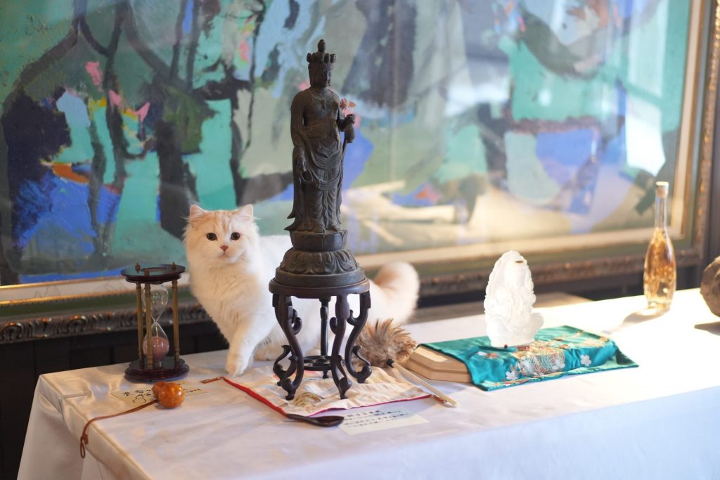 ミュージアムは盲導犬はもちろん、ペットも同伴可。ミュージアムにも保護猫から引き取った猫ちゃんが自由に歩いています。