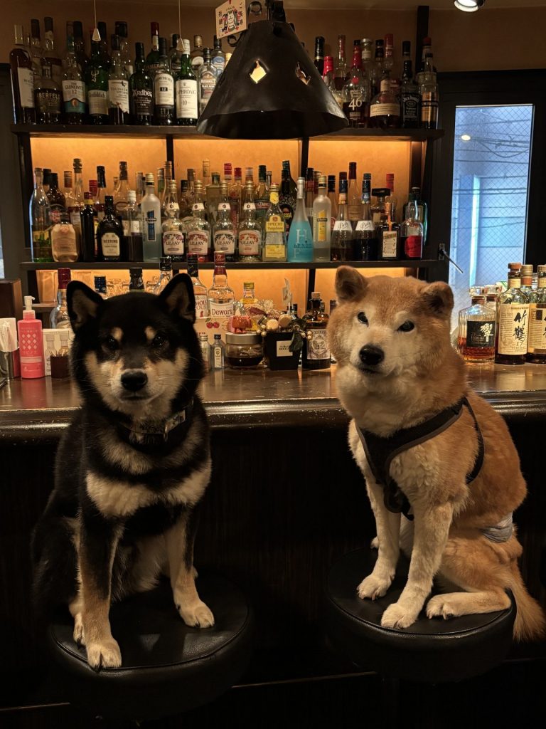 【写真①】「BAR HOOCH」の幸ちゃん（左）と福ちゃん