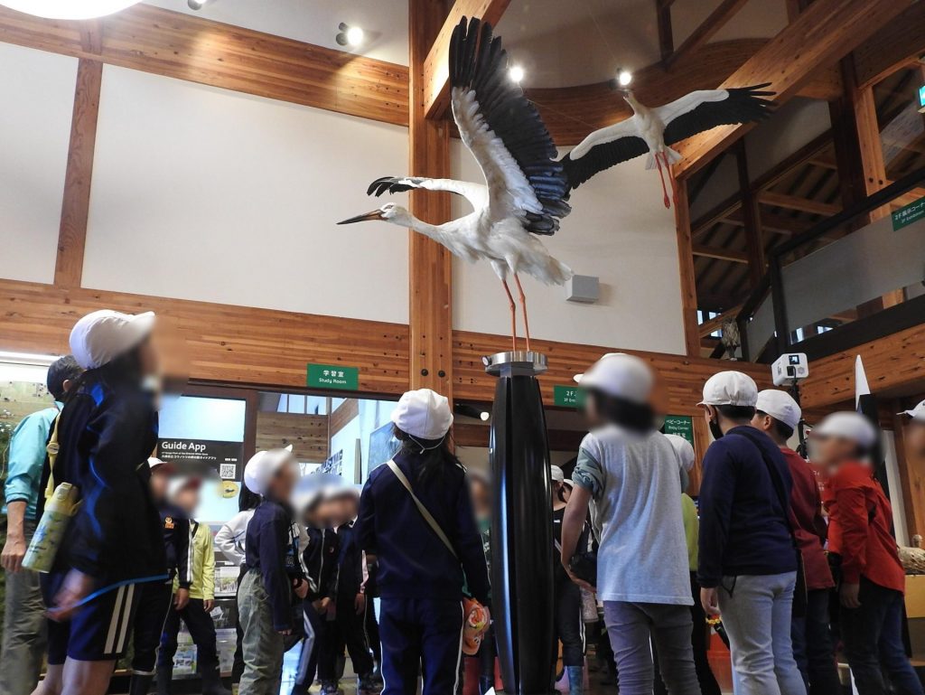 兵庫県立コウノトリの郷公園内にある豊岡市立コウノトリ文化館（画像提供：但馬県民局）