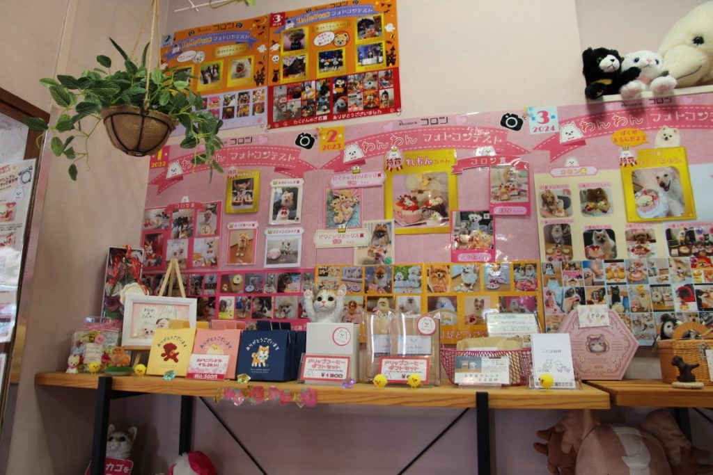 店内に飾られているワンちゃんの写真