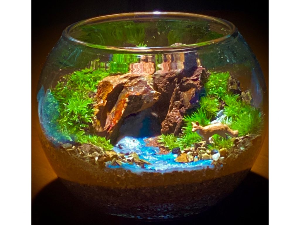 兵庫・猪名川町に自生する苔を使って、ガラス容器の中で里山の自然を再現する「苔リウム」（画像提供：阪神北県民局）