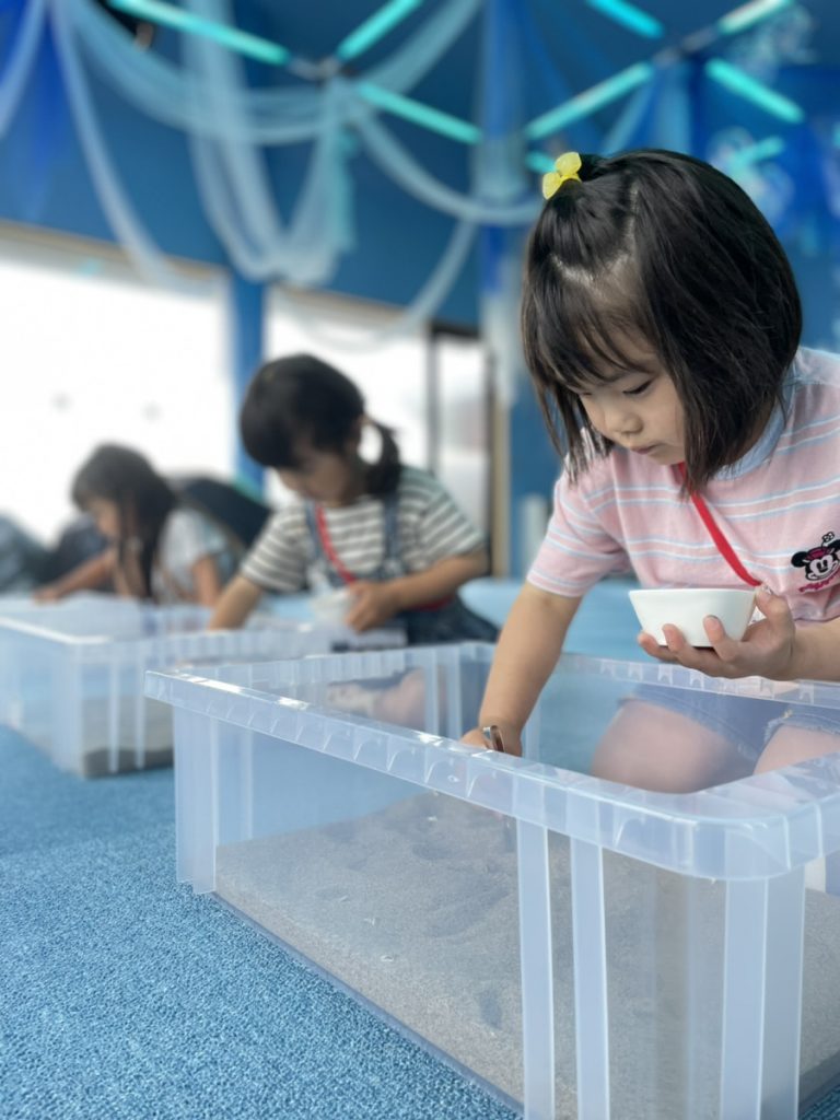 プログラムでの様子