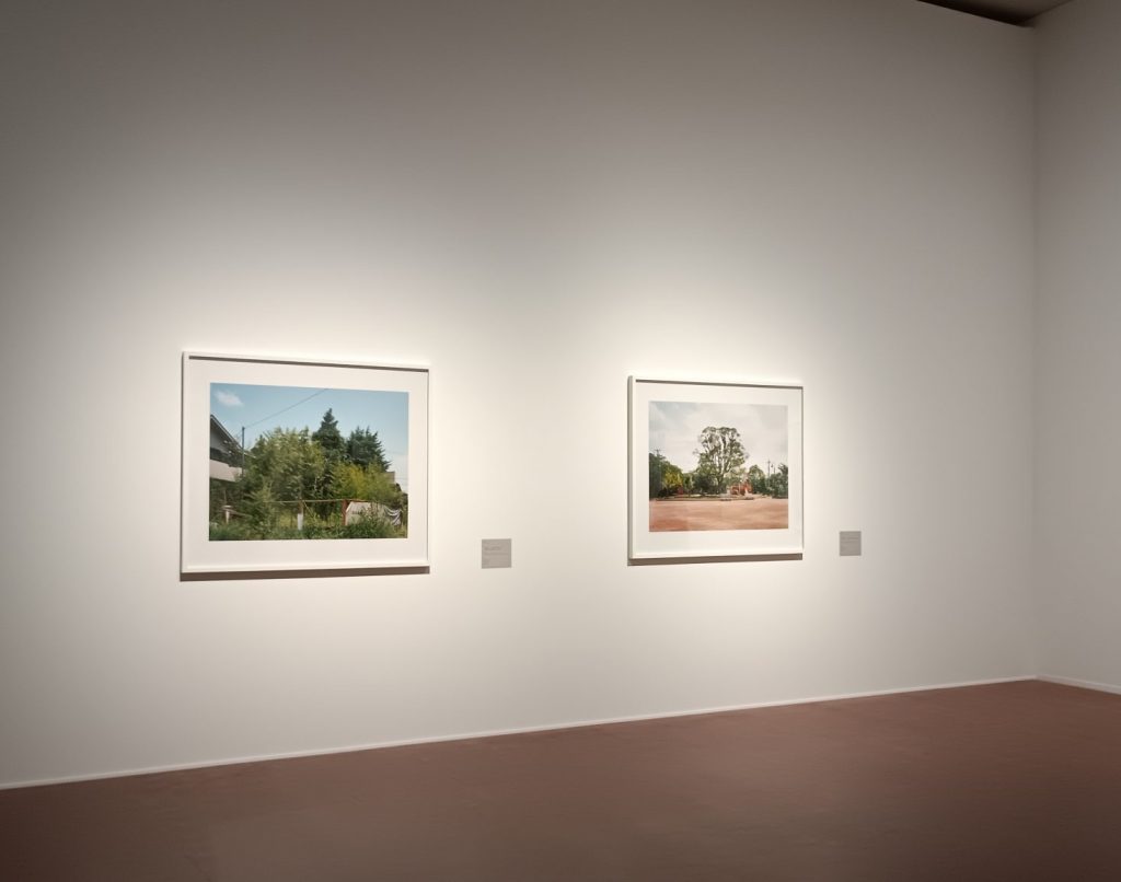 展示風景：米田知子の作品