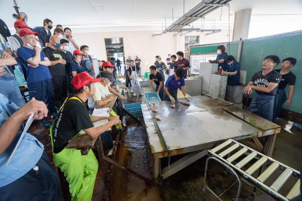 左：見学できるセリの様子