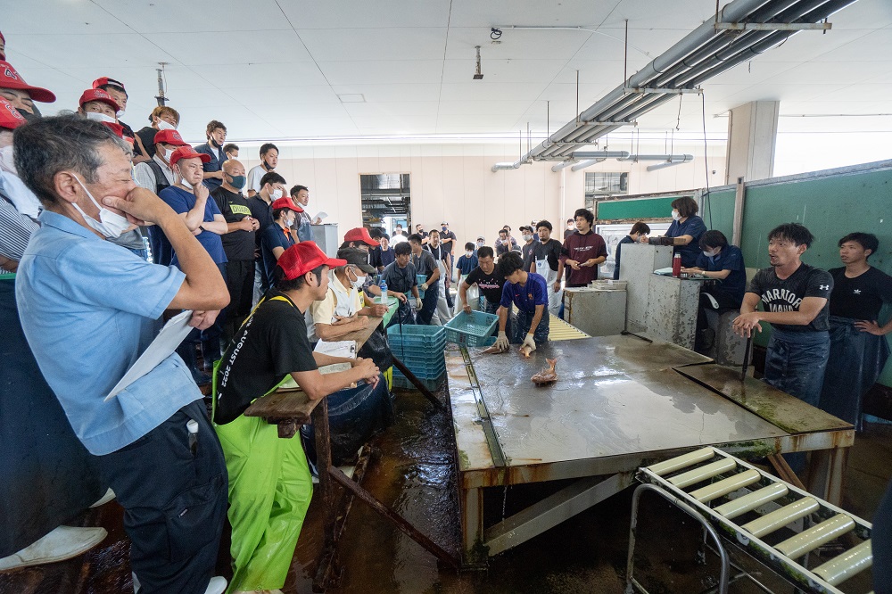 明石浦漁業協同組合セリ市の様子【提供：一般社団法人明石観光協会】