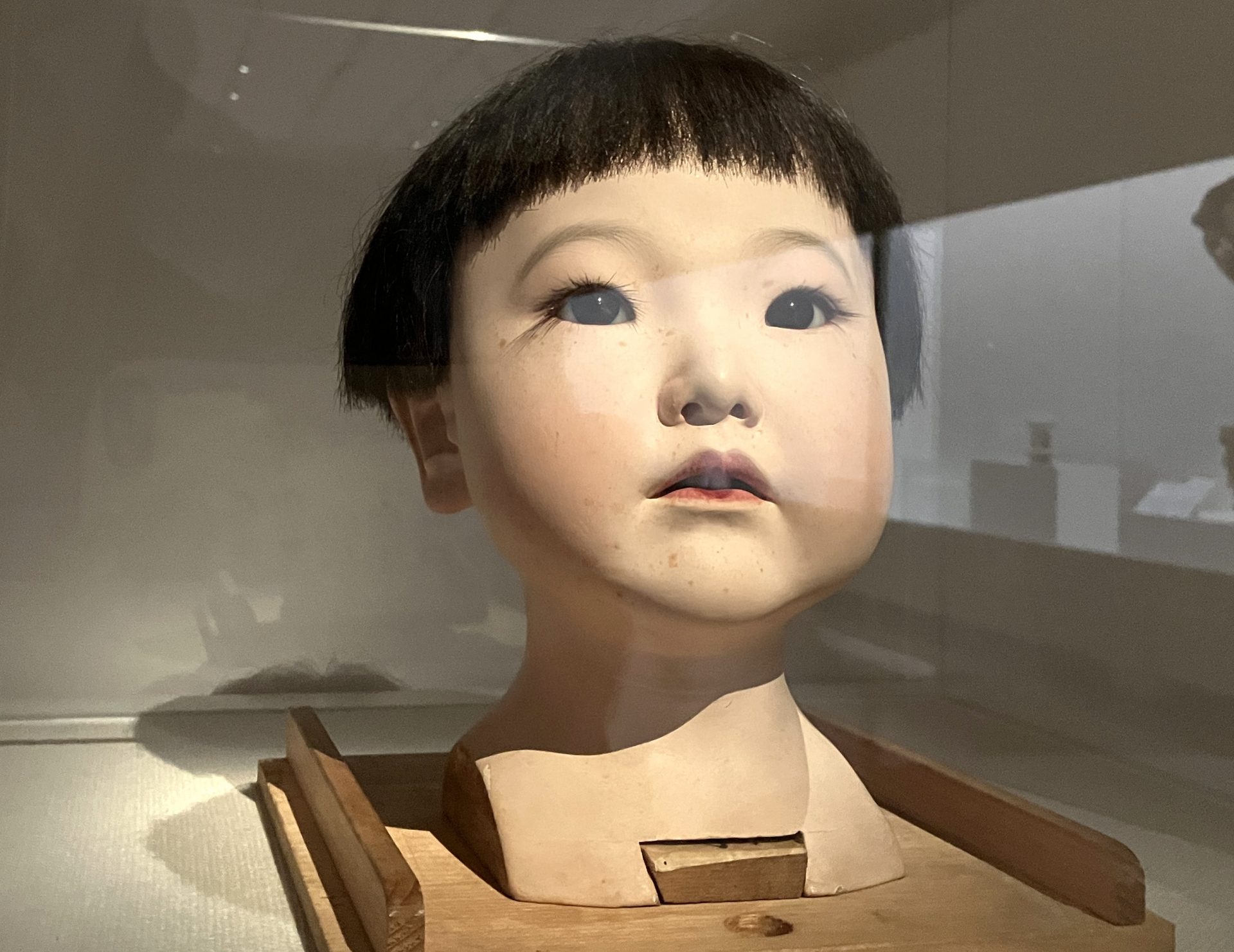 未来の国宝」がずらり 新発見の若冲&応挙の“合作”屏風も 大阪中之島