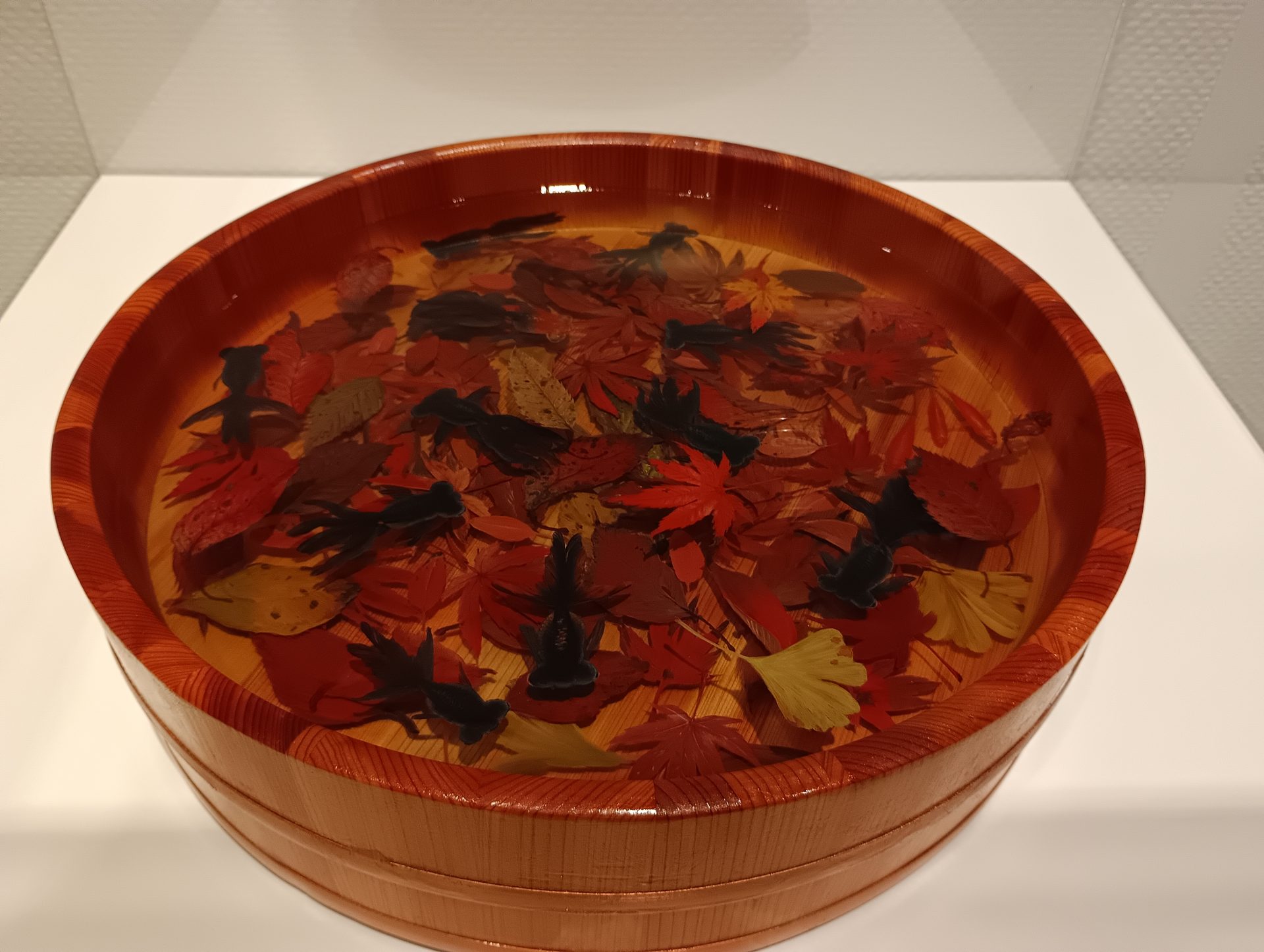 独自の技法で描く金魚 まるで生きているよう 深堀隆介が誘う金魚繚乱の