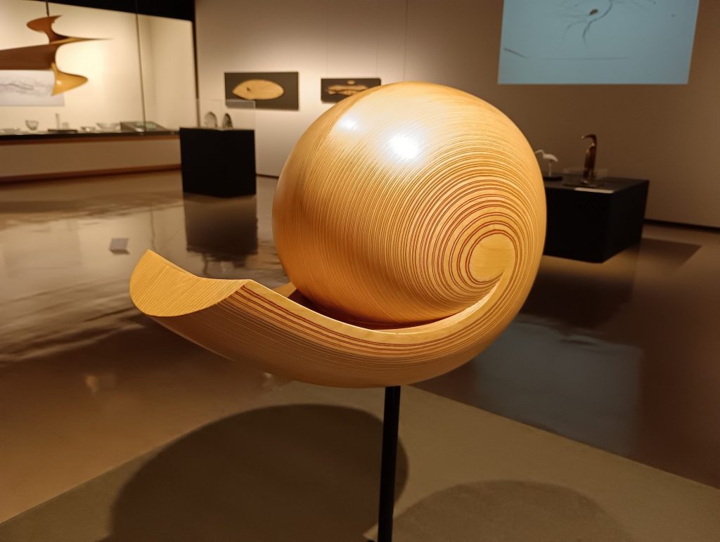 展示風景より：『コテイロ / 巻貝』　1956年　合板　TWRB財団/EMMA蔵