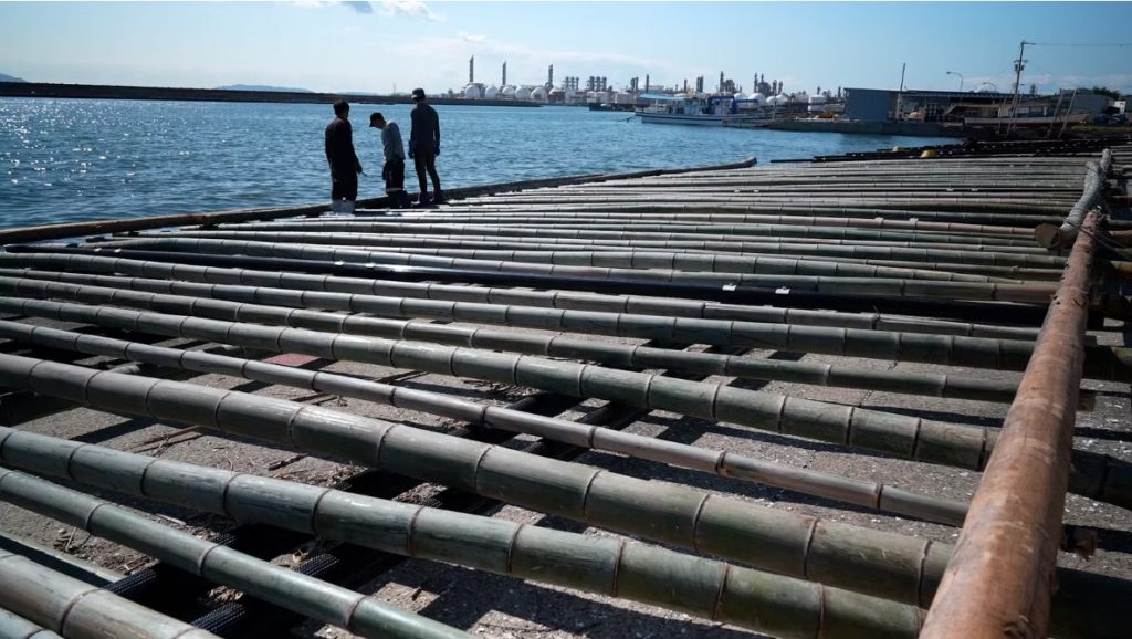 資材となる筏　提供：未来図ファーム株式会社