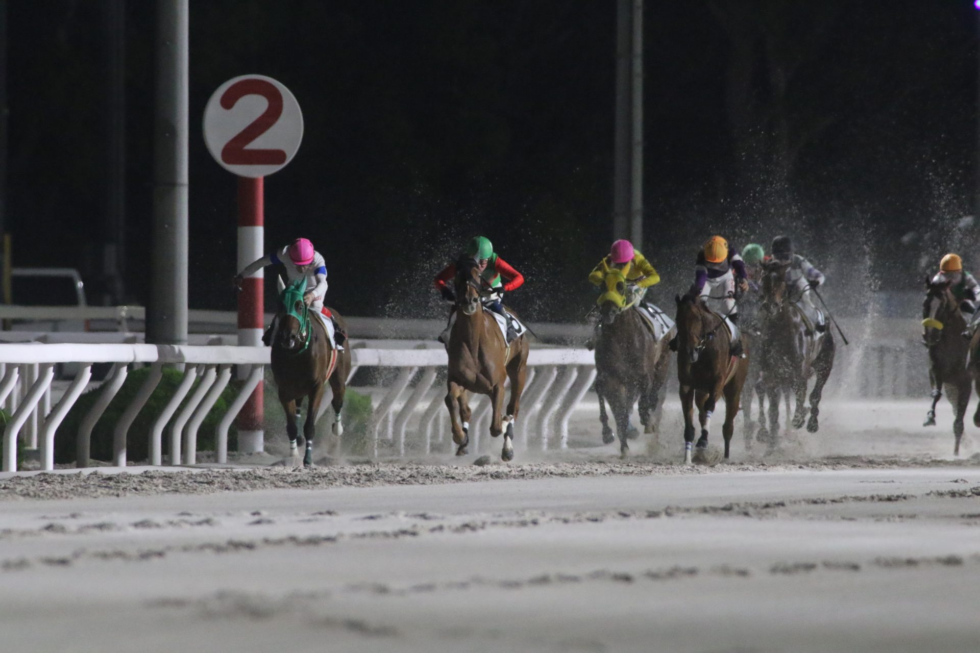 園田競馬場のナイター競馬、今年最後にお笑いイベント かつみ・さゆりらが登場【PR】 ラジトピ ラジオ関西トピックス