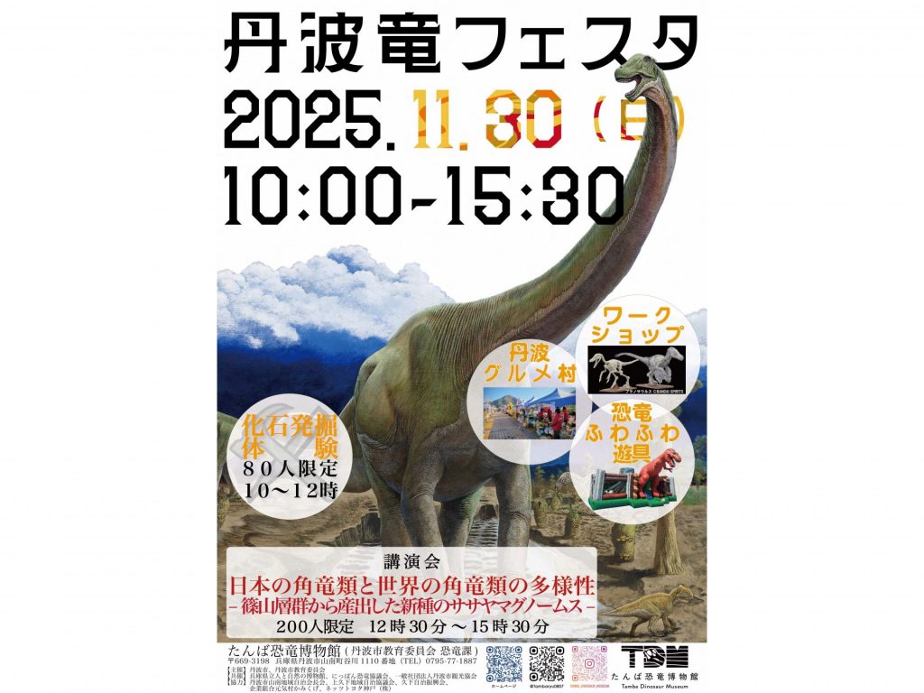 丹波竜フェスタ2025のチラシ・表（画像提供：丹波市）