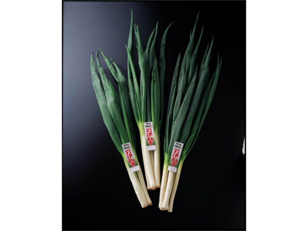 朝来市特産の「岩津ねぎ」白い部分から葉先まで柔らかく、甘みがある（画像提供：朝来市）