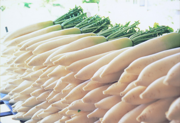 養父市特産「轟大根」高原で育てられ、ジューシーできめ細かく柔らかい（画像提供：養父市）