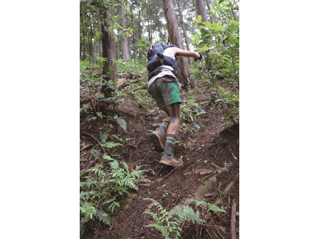 トレイルランニングは山の中を走る過酷なスポーツ（画像提供：丹波市）