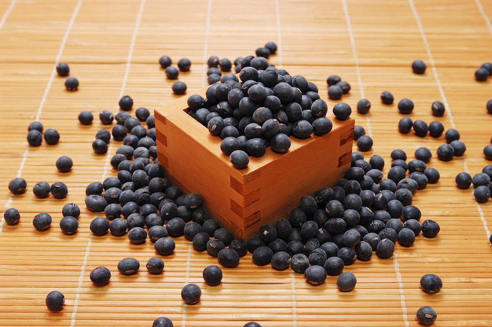 「丹波黒大豆」は大粒で質が良く、正月のおせち料理にも重宝される。熟成前の枝豆の人気も高い（画像提供：丹波市）