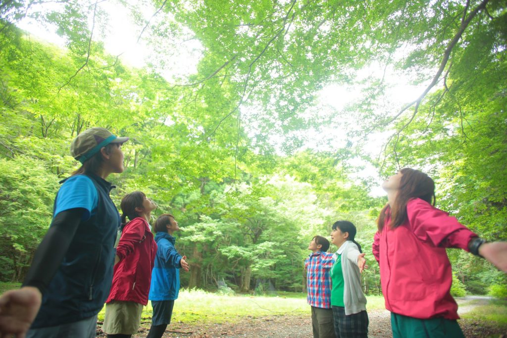 宍粟市の森で、森林セラピー体験（画像提供：宍粟市）