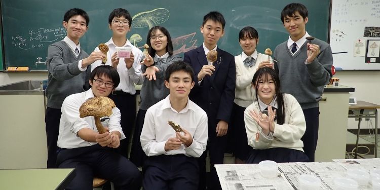 【#すいくり＝トコトン兵庫！】神戸の県立高校にある「キノコに日々没頭する部活」　どんな活動してるの？