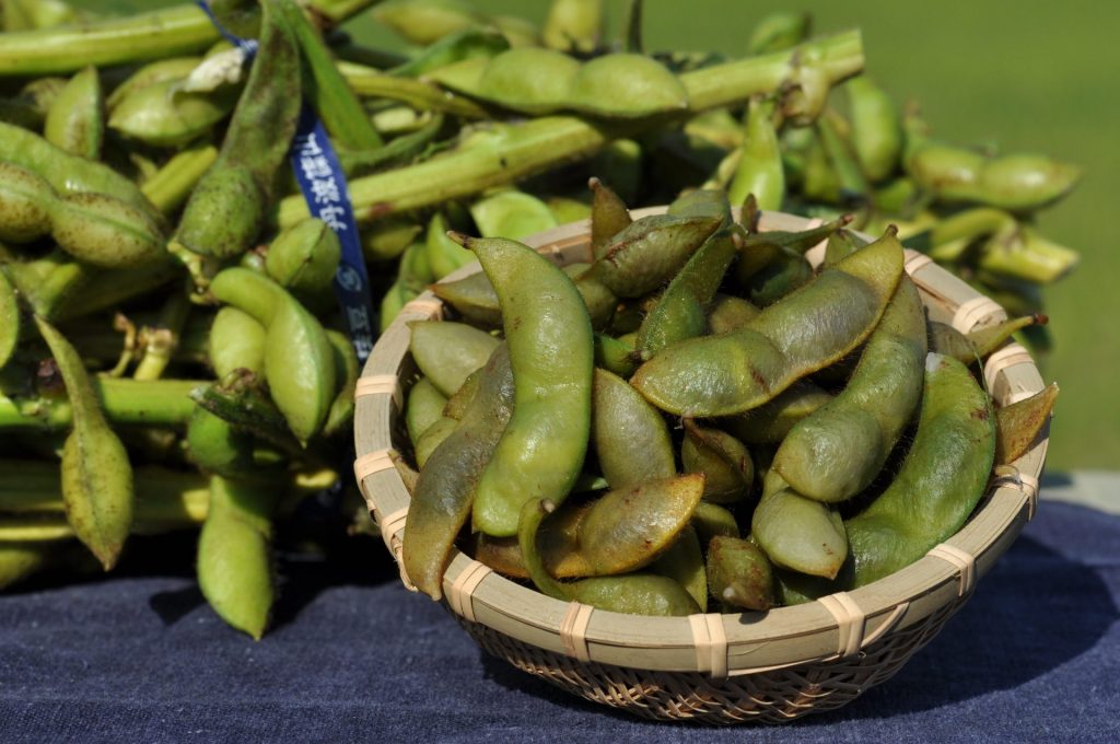 丹波篠山市産の黒大豆は枝豆も人気。10月初旬の解禁日から2~3週間しか味わえない「幻の枝豆」と言われている（画像提供：丹波篠山市）